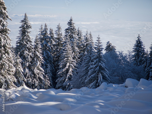 Obraz na płótnie Panorama of Vitosha Mountain, Bulgaria w salonie