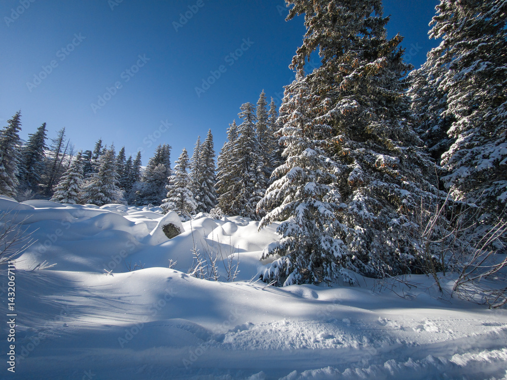 Panorama of Vitosha Mountain, Bulgaria
