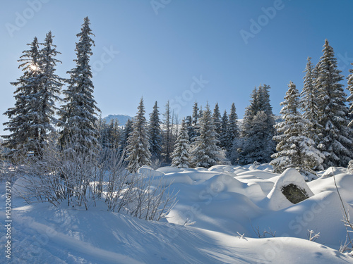 Panorama of Vitosha Mountain, Bulgaria