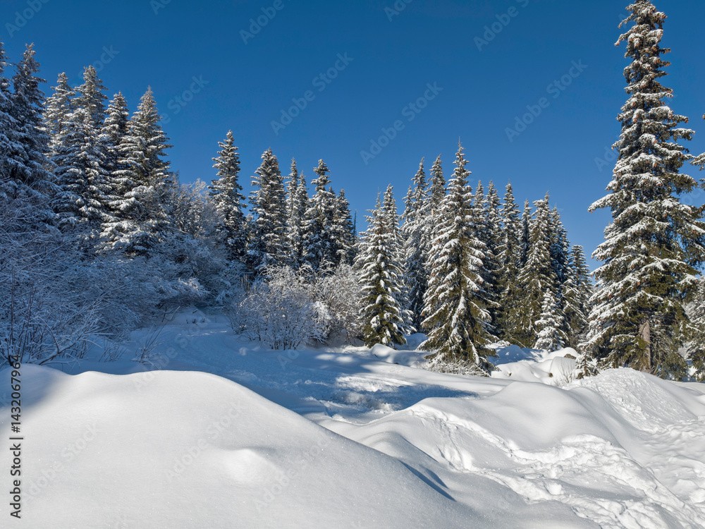 Panorama of Vitosha Mountain, Bulgaria
