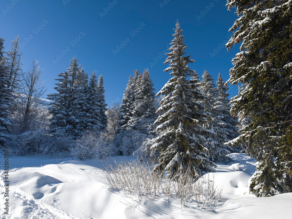 Panorama of Vitosha Mountain, Bulgaria