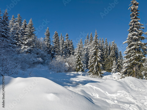 Obraz na płótnie Panorama of Vitosha Mountain, Bulgaria w salonie