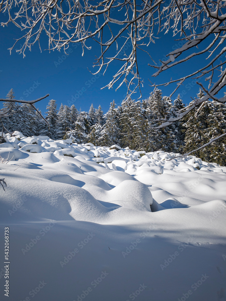 Panorama of Vitosha Mountain, Bulgaria