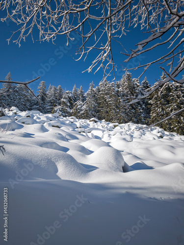 Obraz na płótnie Panorama of Vitosha Mountain, Bulgaria w salonie