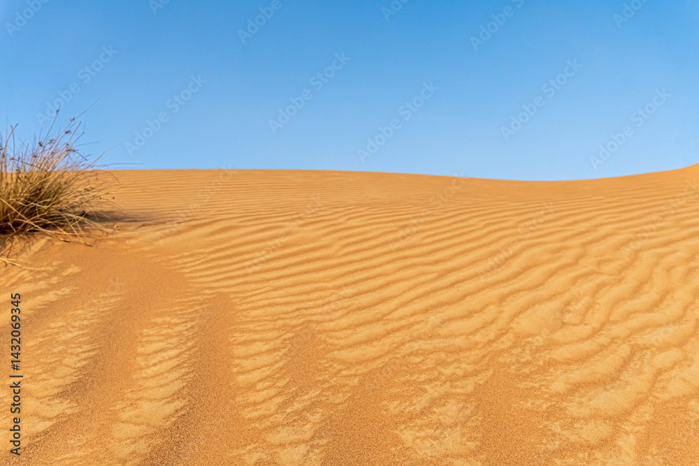 Fototapeta premium Desert hill landscape with bush. Rear blur. Selective focus.