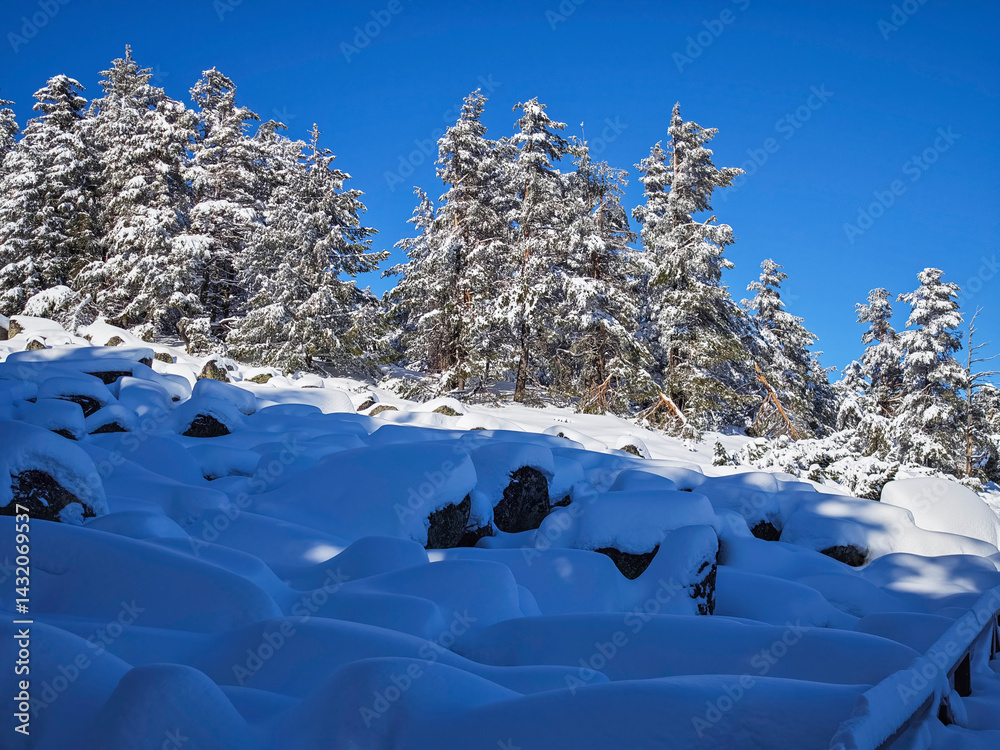 Panorama of Vitosha Mountain, Bulgaria