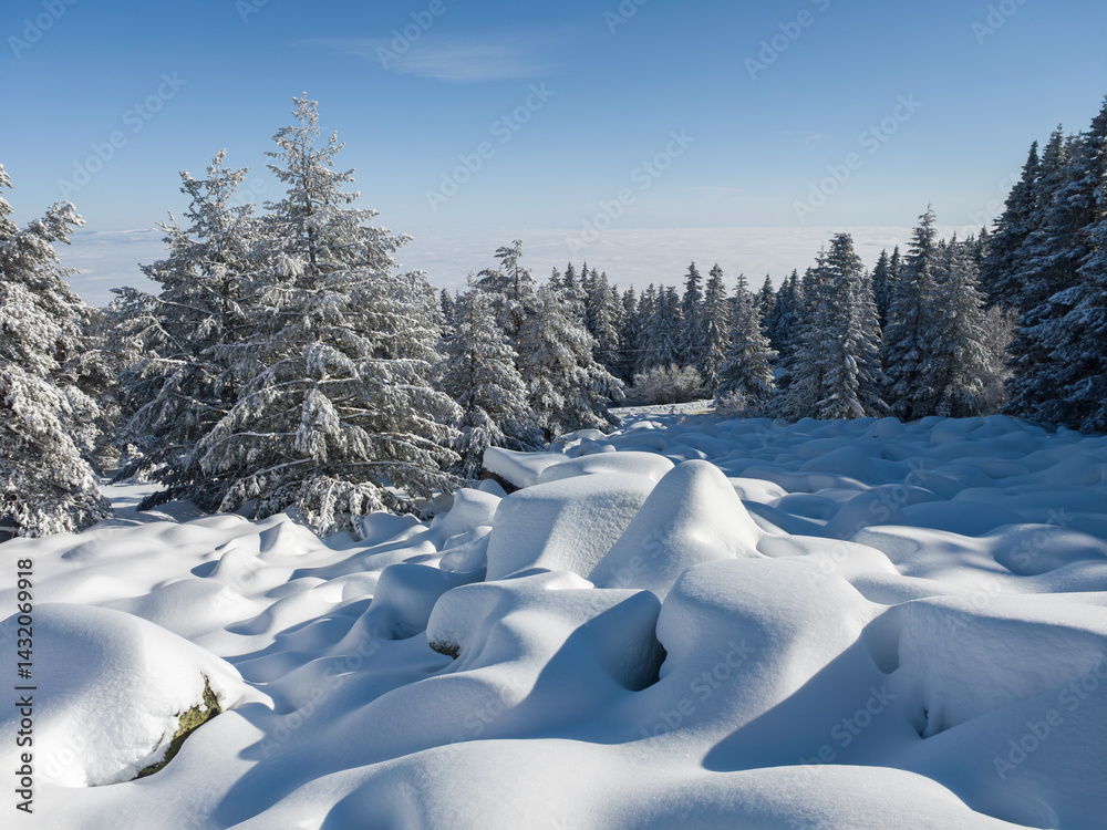 Panorama of Vitosha Mountain, Bulgaria