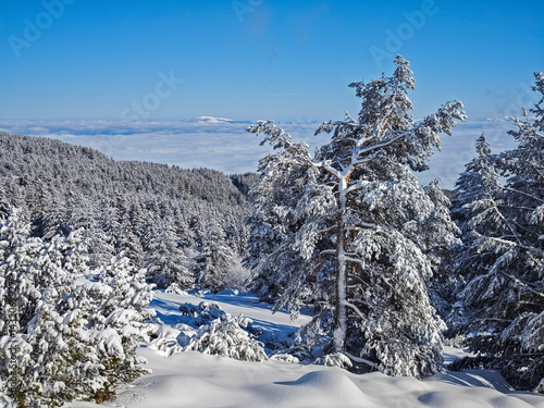 Obraz na płótnie Panorama of Vitosha Mountain, Bulgaria w salonie