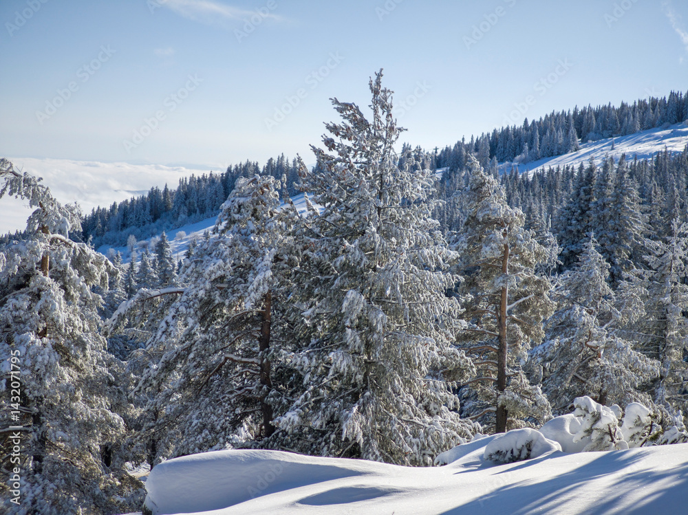 Panorama of Vitosha Mountain, Bulgaria
