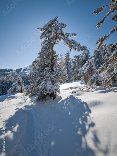 Panorama of Vitosha Mountain, Bulgaria
