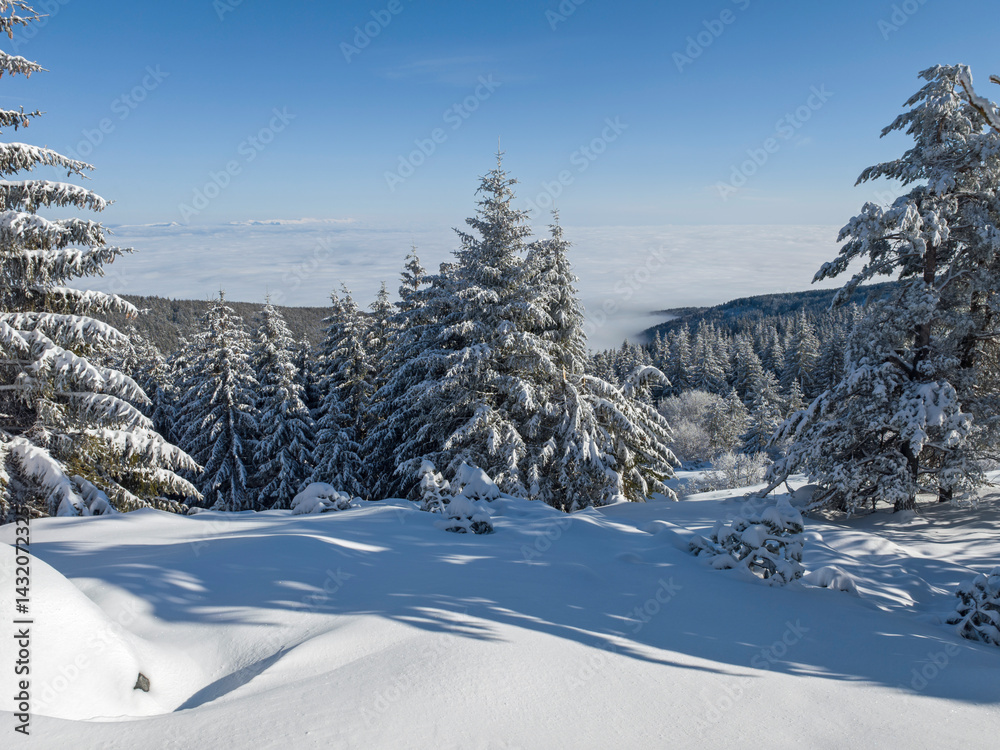 Panorama of Vitosha Mountain, Bulgaria