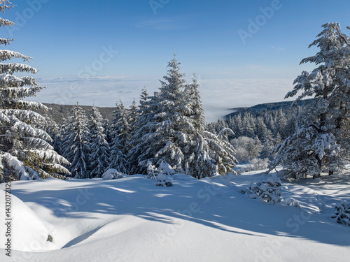 Obraz na płótnie Panorama of Vitosha Mountain, Bulgaria w salonie