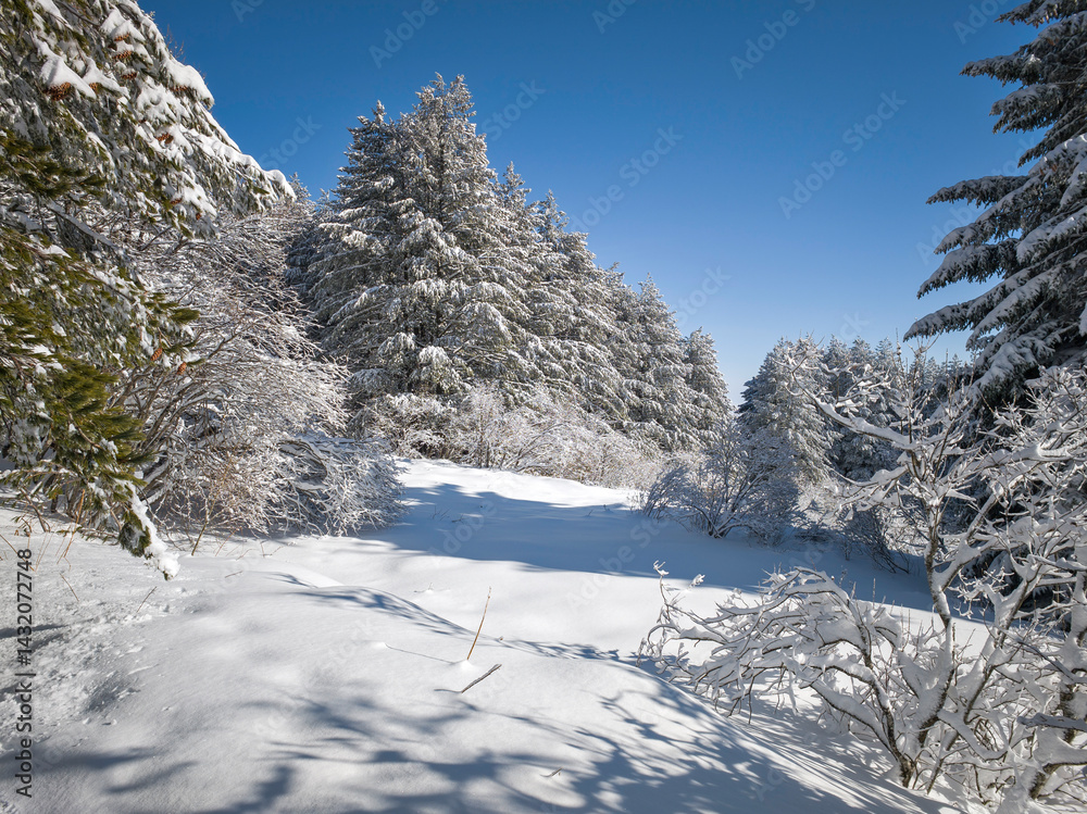 Panorama of Vitosha Mountain, Bulgaria