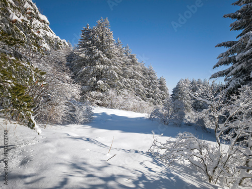 Panorama of Vitosha Mountain, Bulgaria