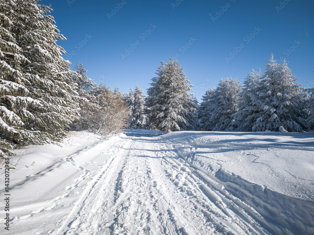 Panorama of Vitosha Mountain, Bulgaria