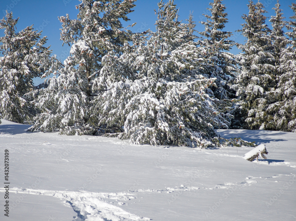 Panorama of Vitosha Mountain, Bulgaria