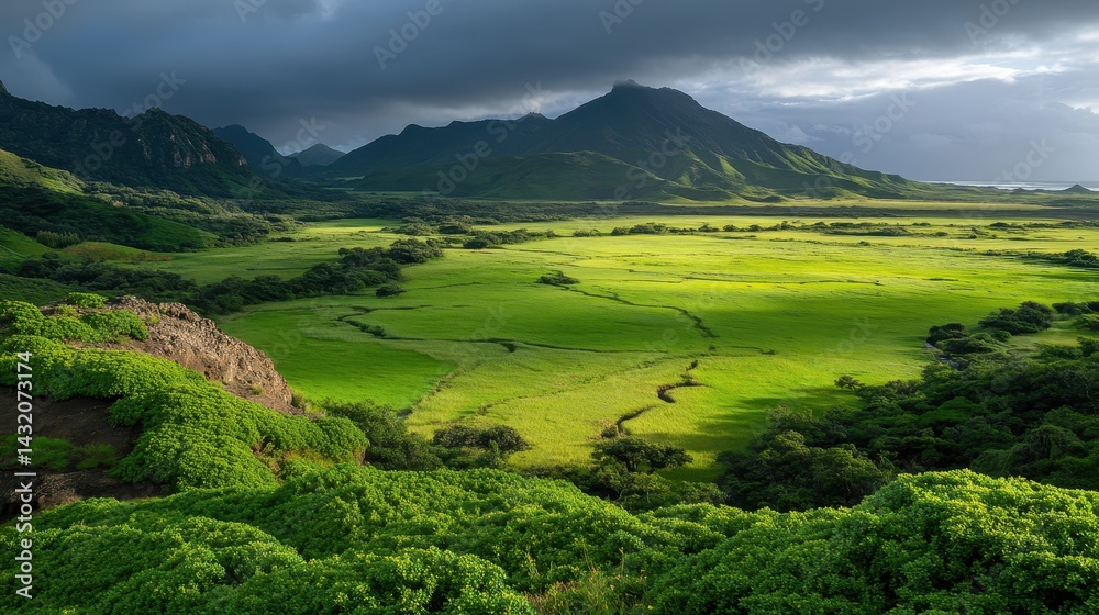 Expansive Green Landscape with Lush Vegetation and Mountain Range Under Dramatic Cloudy Sky at Dusk Expansive Green Landscape with Lush Vegetation and Mountain Range Under Dramatic Cloudy Sky at Dusk