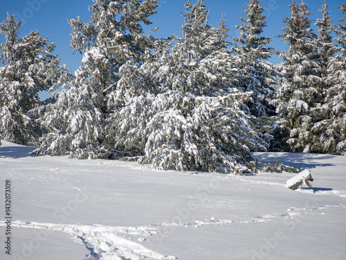 Obraz na płótnie Panorama of Vitosha Mountain, Bulgaria w salonie