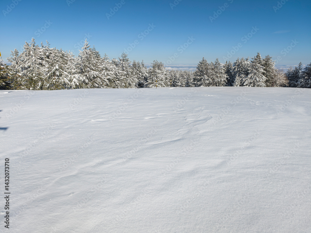 Panorama of Vitosha Mountain, Bulgaria