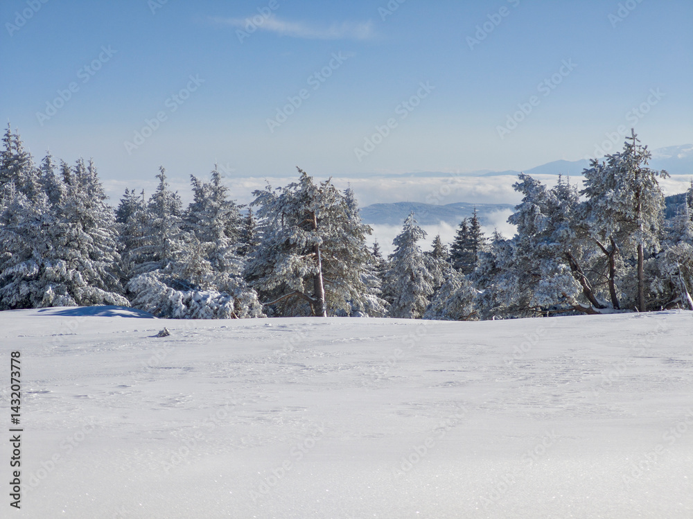 Panorama of Vitosha Mountain, Bulgaria