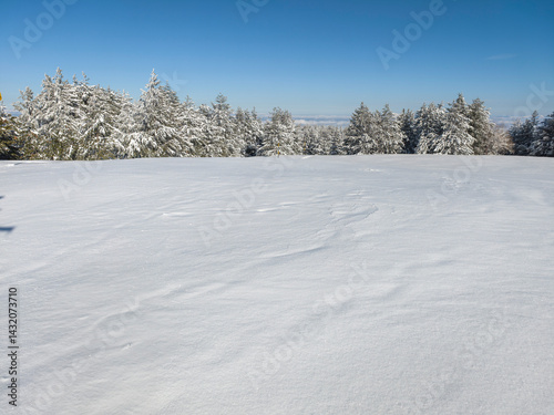 Obraz na płótnie Panorama of Vitosha Mountain, Bulgaria w salonie