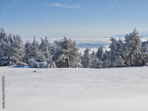 Obraz na płótnie Panorama of Vitosha Mountain, Bulgaria w salonie