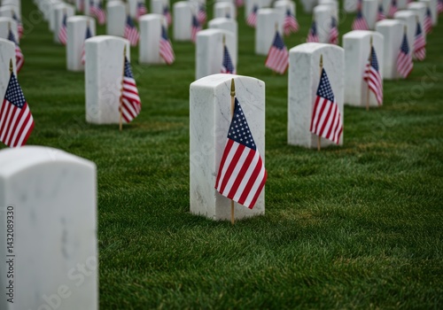 American flags stand at attention on graves in a military cemetery honoring the fallen.