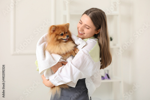 Female groomer wiping Pomer...