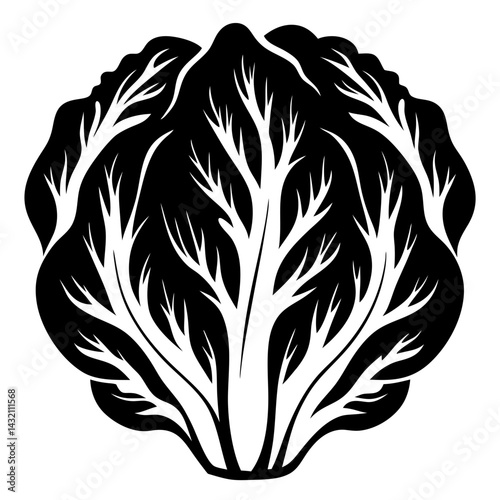 Stylized Head of Napa Cabbage Depicted in Black and White Minimalist Art