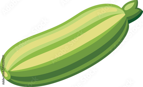 A vibrant vector art illustration of a delicious zucchini fruit, showcasing fresh, colorful detail perfect for culinary or agricultural design projects.