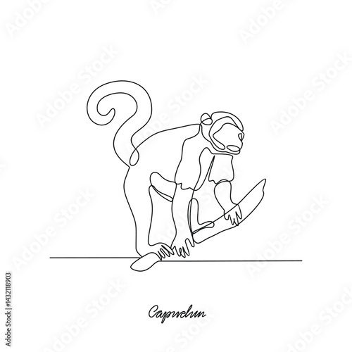 One continuous line drawing of Capuchin animal vector illustration. Primates animal themes in simple linear style vector design concept. Capuchin for your asset design and educational purpose.