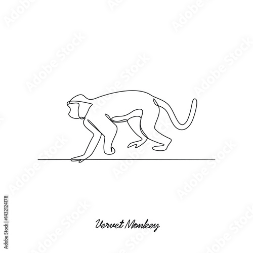 One continuous line drawing of Vervet Monkey animal vector illustration. Primates animal themes in simple linear style vector design concept. Vervet Monkey asset design and educational purpose.