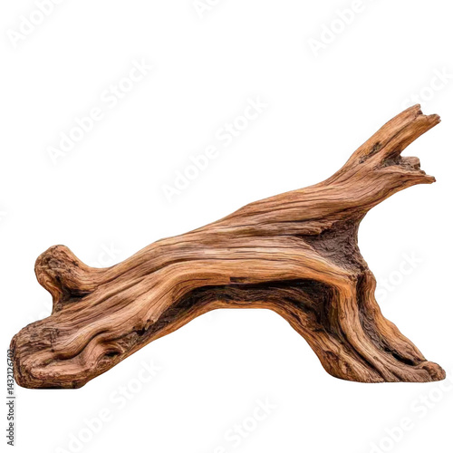 beautifully weathered piece of driftwood with intricate textures and natural curves, perfect for rustic decor or artistic projects. Its organic form adds touch of nature indoors