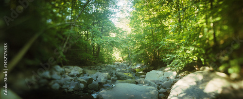 Panoramic stream flowing through a forest, Kaaterskill Falls, Catskill Mountains, Hunter, Greene County, New York State, USA.