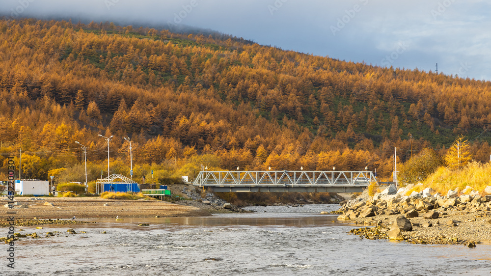 Beautiful autumn landscape. View of the bridge over the river. Autumn larch forest on the mountainside. Colorful larches with yellow crowns. Dukcha river, Magadan region, Siberia, Far East of Russia.