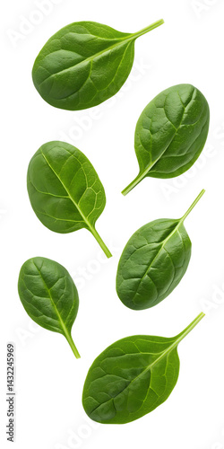 Tablou pe pânză Falling spinach isolated on transparent background