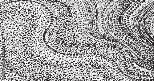Monochrome texture composed of irregular graphic elements. Distressed uneven grunge background. Abstract vector illustration. Overlay for interesting effect and depth. Isolated on white background.