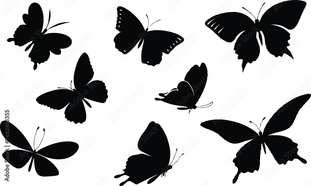Fototapeta premium Set of Butterflies – Colorful Vector Illustrations of Elegant Flying Insects.