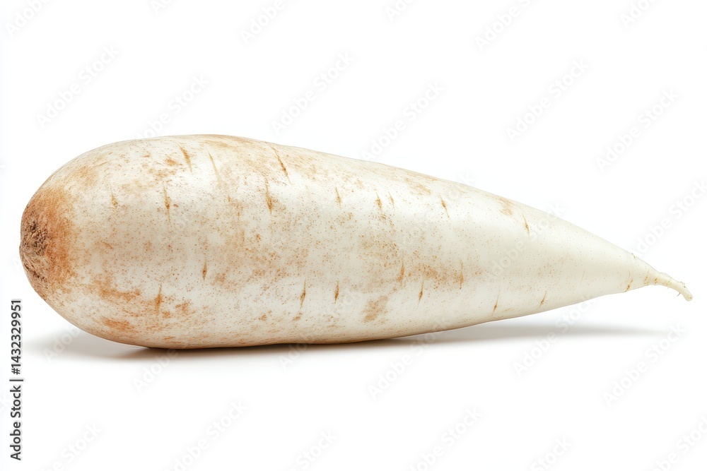 Single daikon radish Single daikon radish