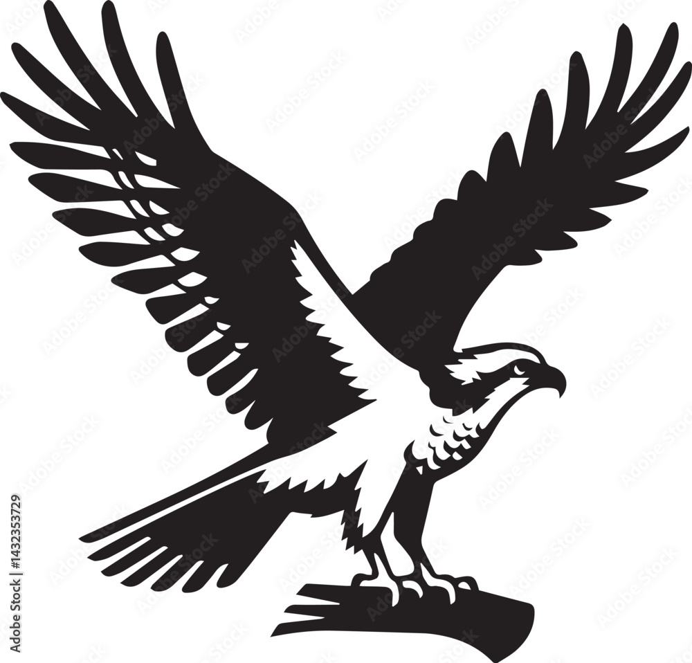 eagle on a white background vector, eagle logo silhouette vector eagle on a white background vector, eagle logo silhouette vector