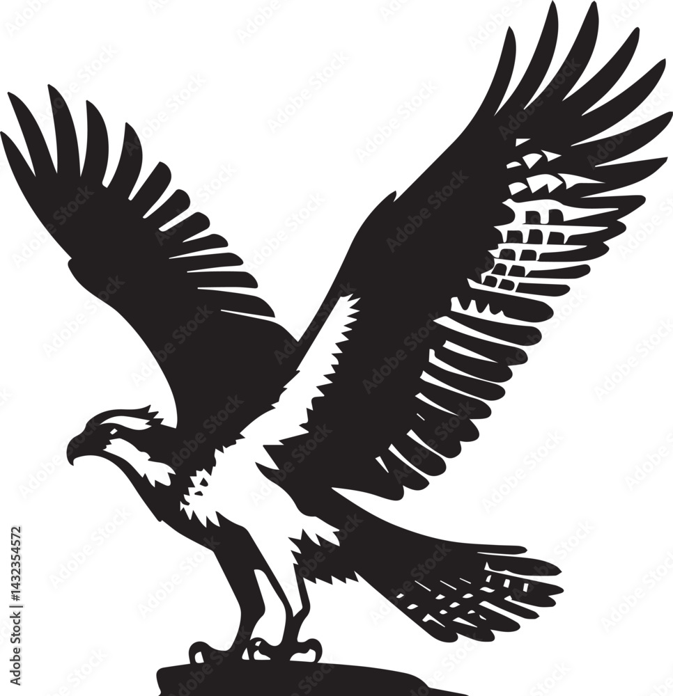 Obraz premium eagle on a white background vector, eagle logo silhouette vector