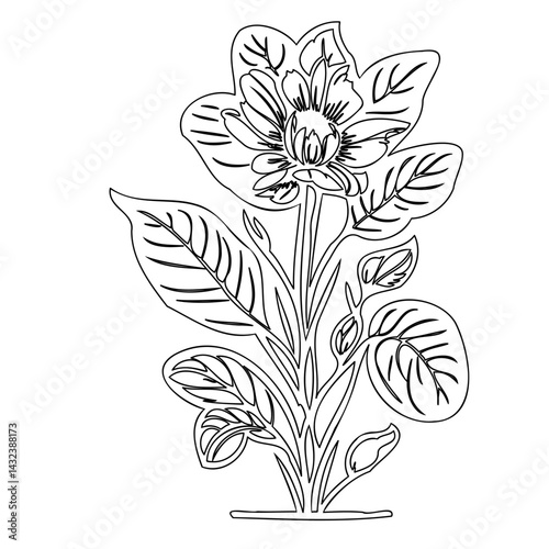 Botanical floral outline illustration, elegant blossoming design for coloring pages