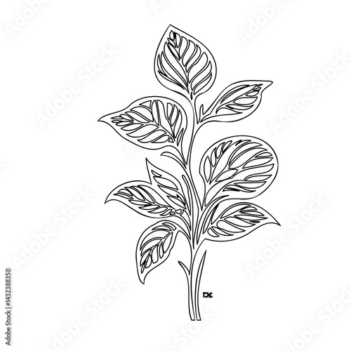 Elegant botanical illustration of a stylized leafy sprig, minimalist design