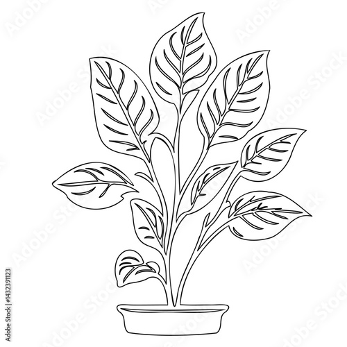 Elegant houseplant outline illustration for design projects and creative artworks