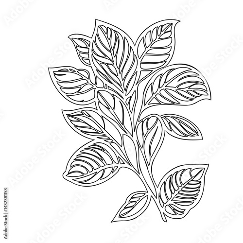 Botanical outline drawing showcasing a leafy stem for design elements