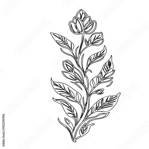 Elegant botanical illustration featuring a graceful floral arrangement design