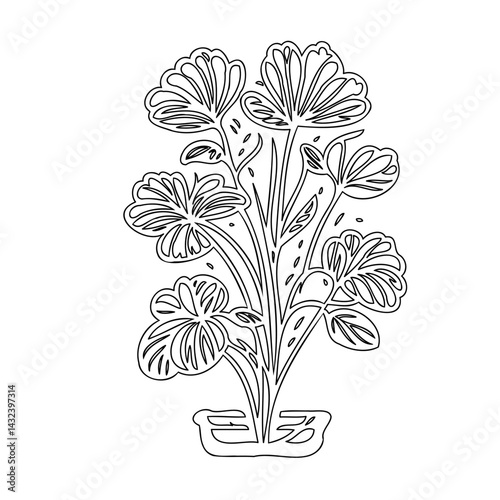 Delicate botanical drawing: a floral arrangement of outlined flowering plant