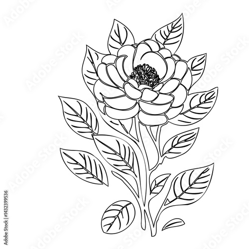 Elegant botanical illustration of a blossoming flower with detailed leaves