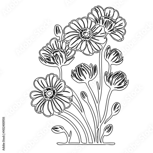 Detailed monochrome floral outline featuring blossoming daisies and budding blooms