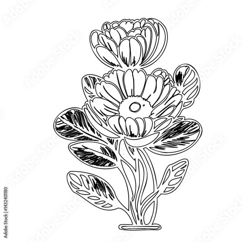 Botanical outline artwork showcasing blossoming petals and stylized foliage